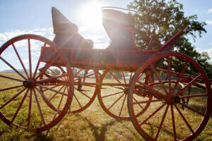 Antique horse carriage in open pasture at Pleasant Pastures Weddings and Events in Central Minnesota